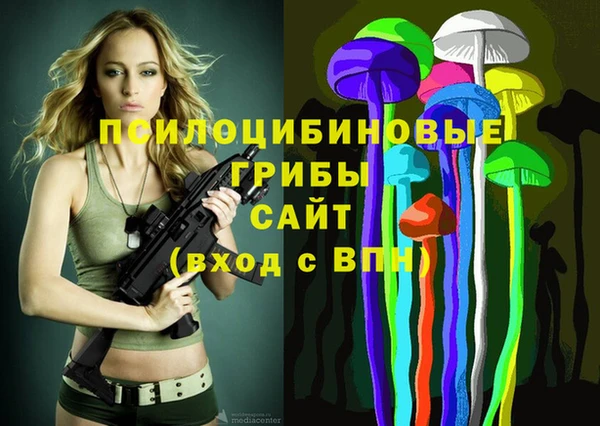 ALPHA PVP Богородск